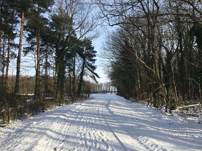 Landing Road in the snow