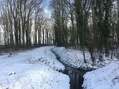 Snow scene
