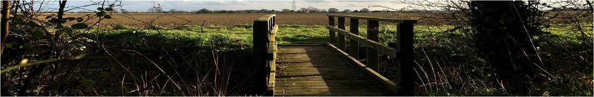 Gateforth Woods bridge