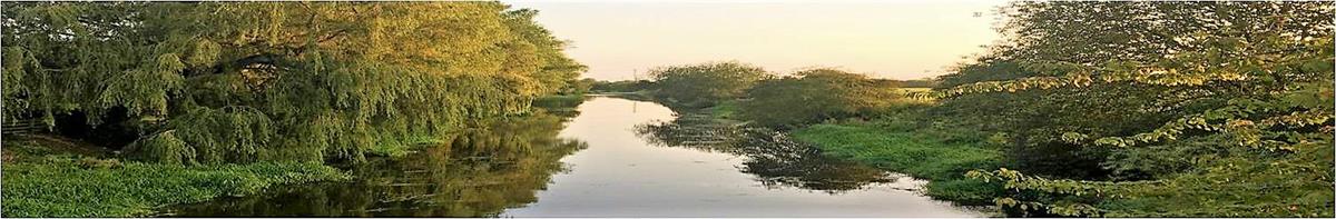 Selby Canal